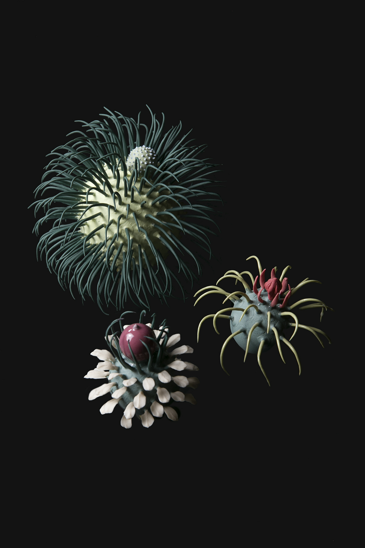 אביטל אביטל הביאנלה במוזא צילום הדר סייפן 2