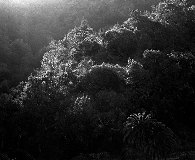 Photo: Awoiska Van der Molen