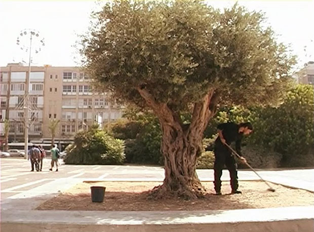 ראפת חטאב (יפו, ישראל), ללא כותרת, 2009, וידאו, 3:50 דקות