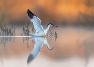 Local Nature, World Nature 2023