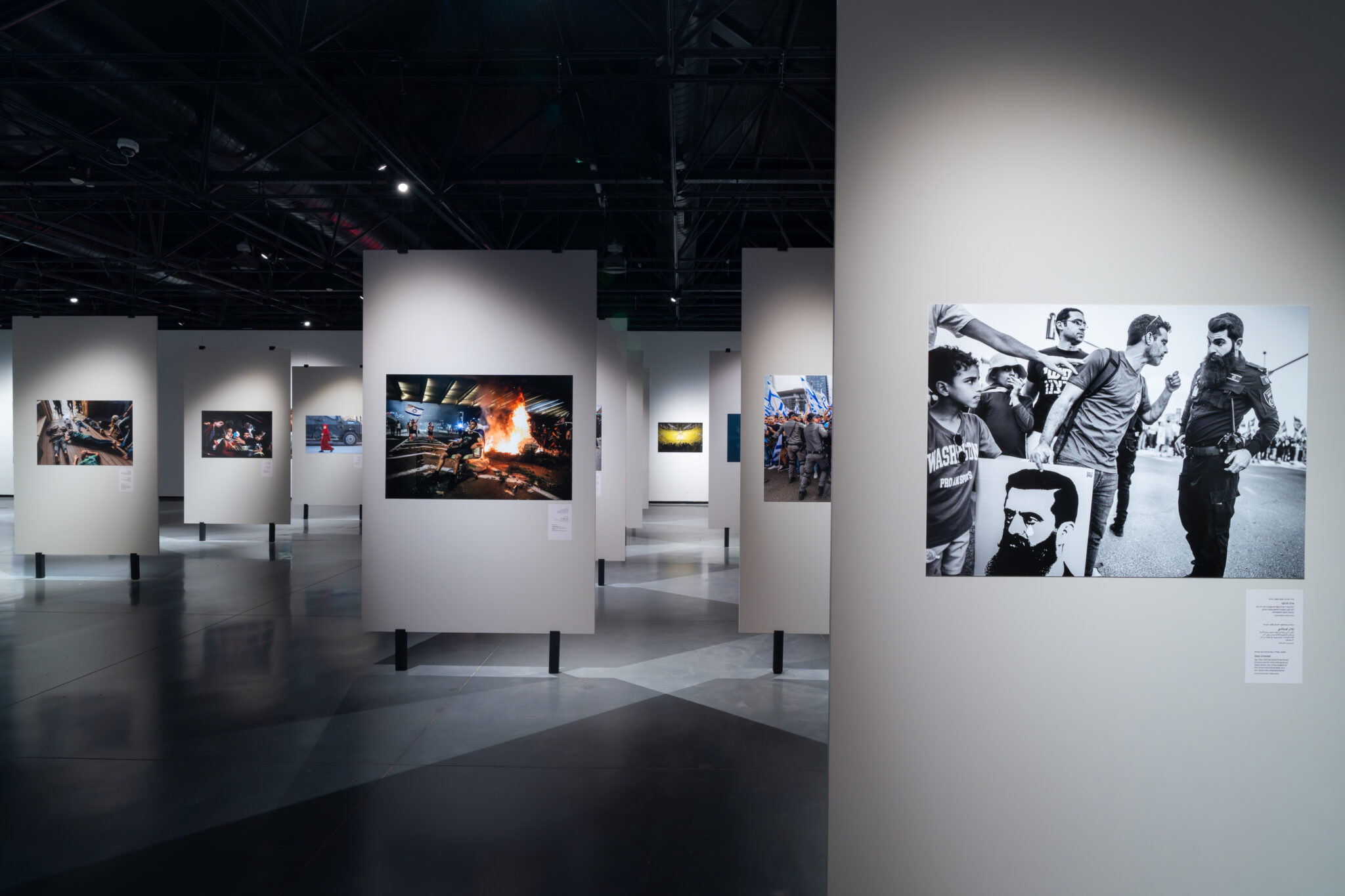 צילום: דניאל חנוך