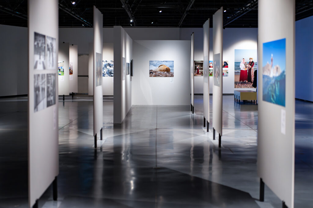 צילום: דניאל חנוך