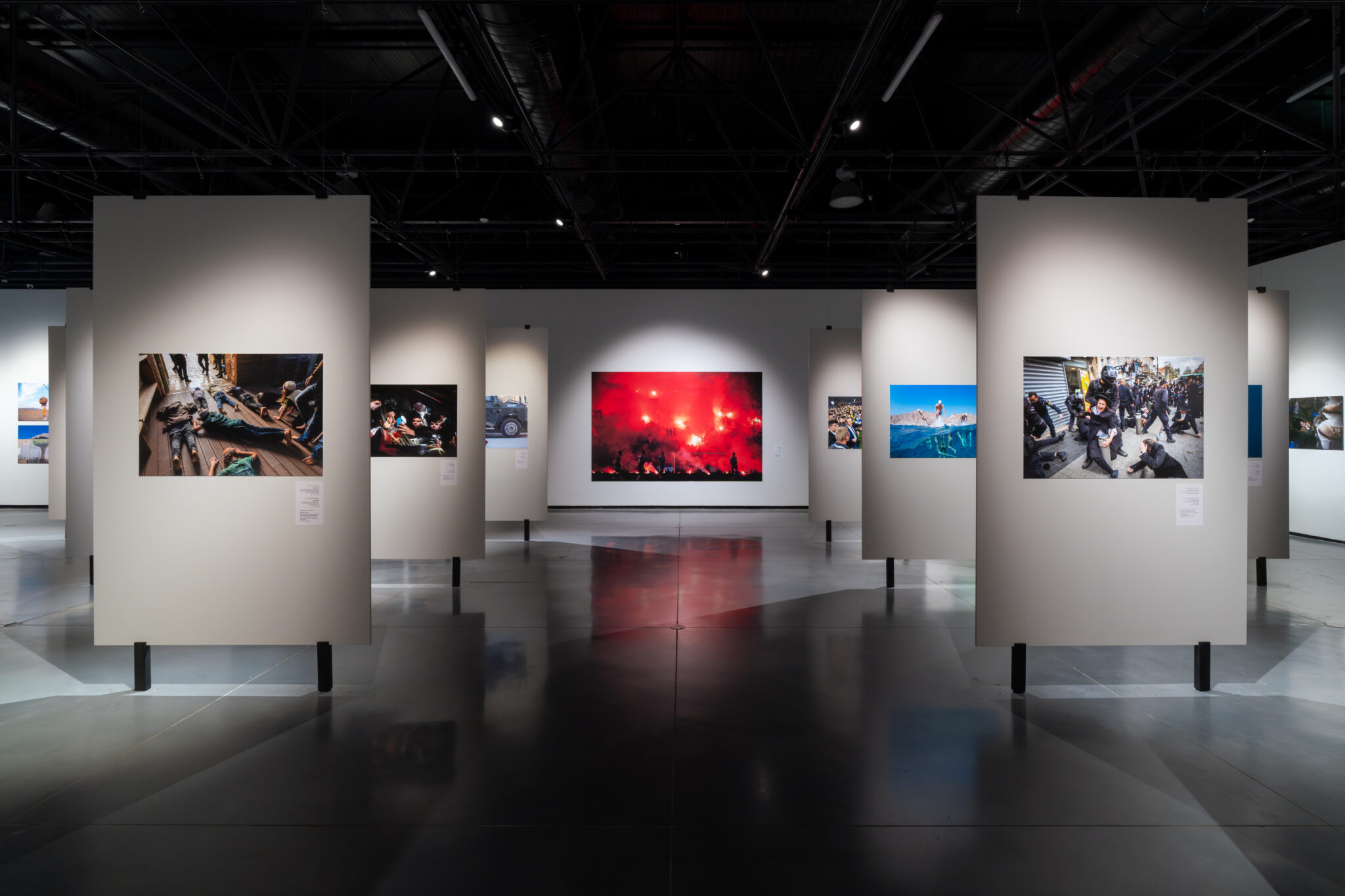 צילום: דניאל חנוך