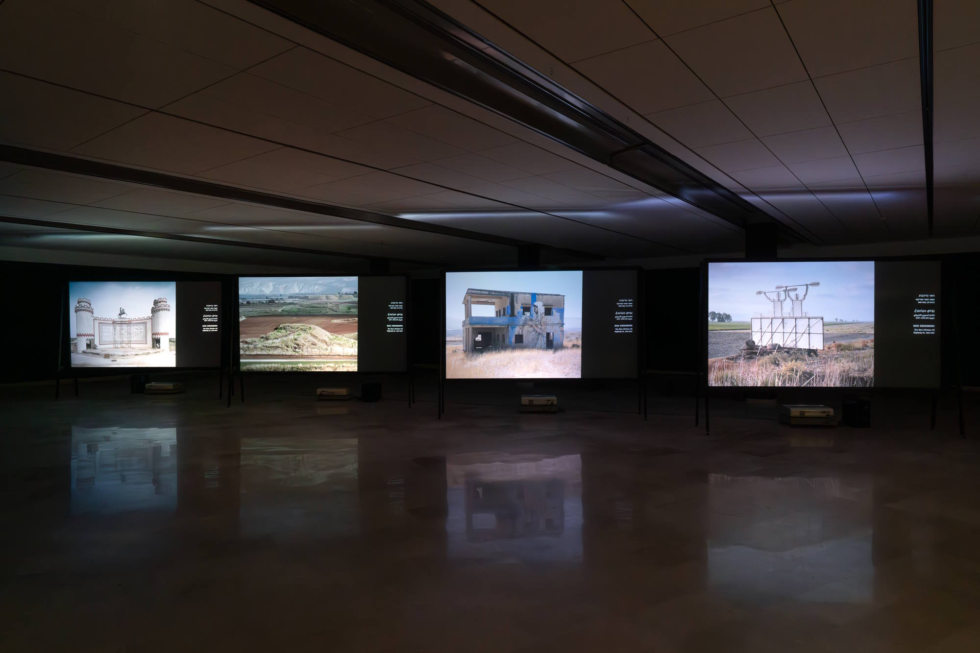 צילום: דניאל חנוך