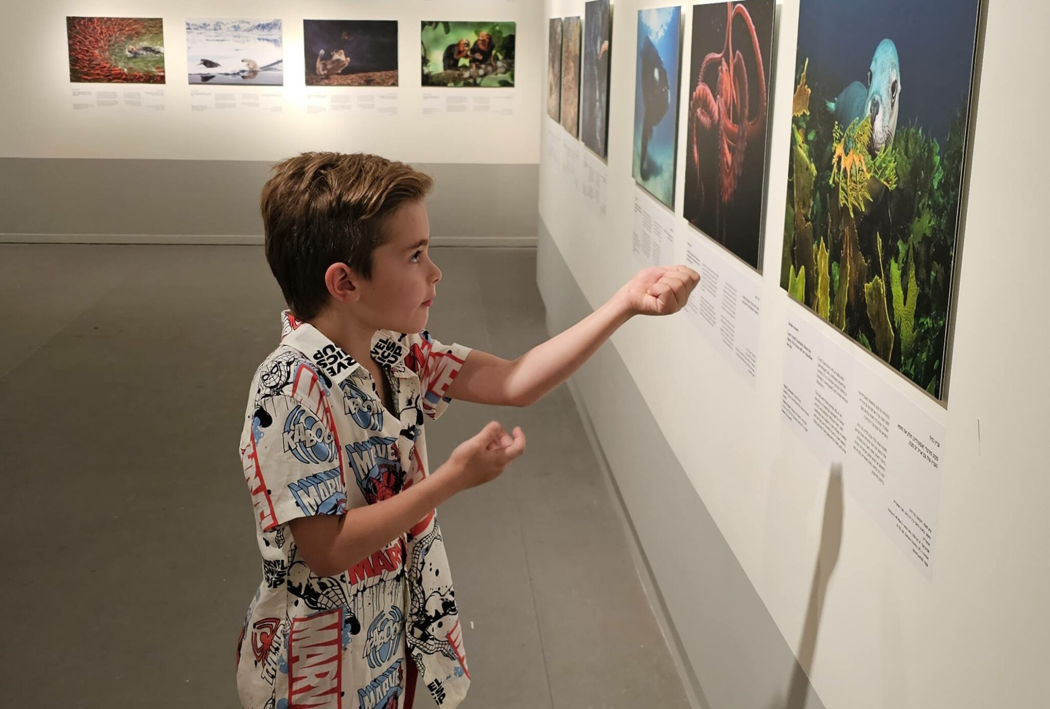 צילום: טל איז'ק