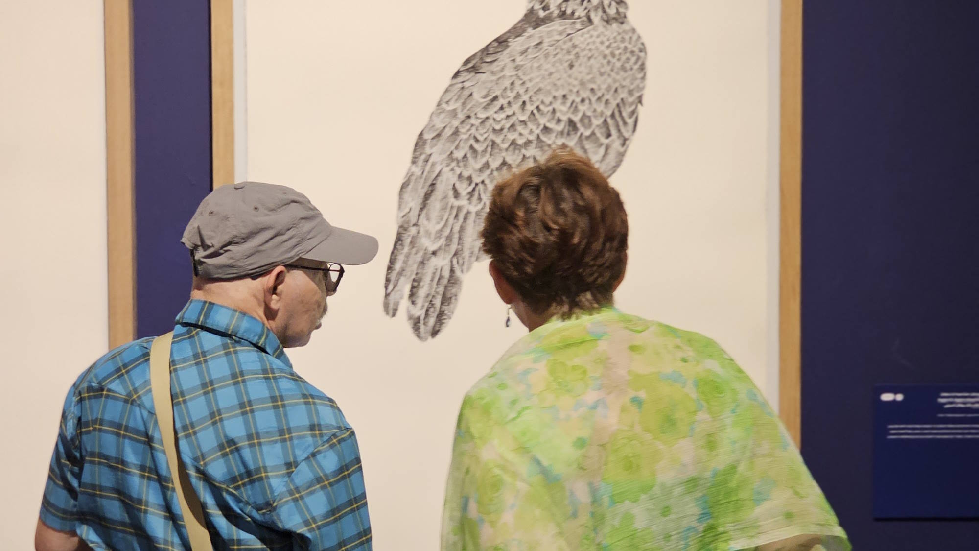 צילום: טל איז'ק