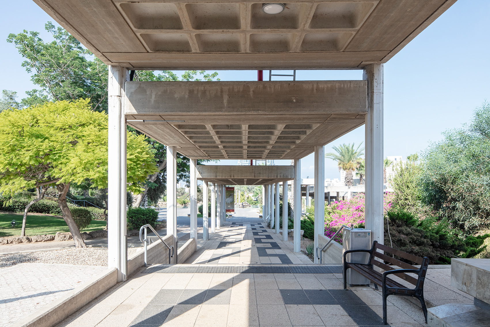 צילום: אביעד בר-נס