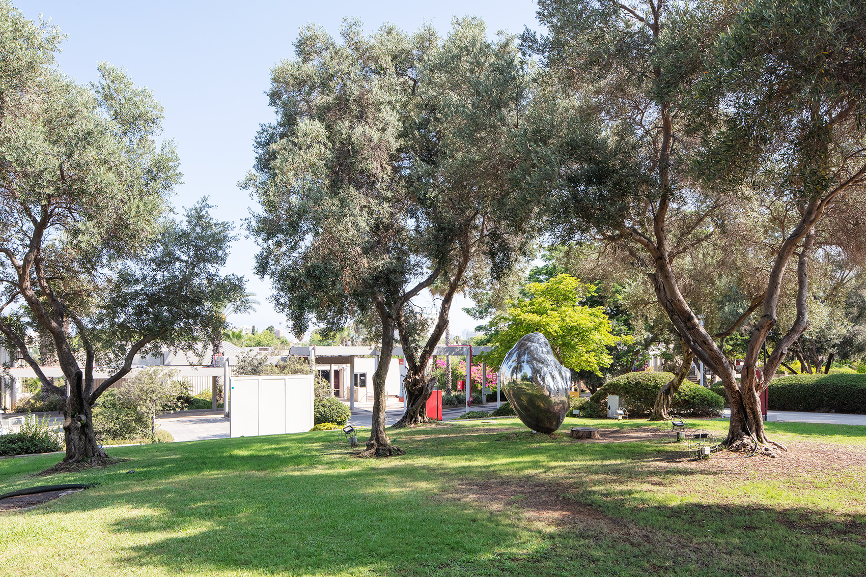 צילום: אביעד בר נס