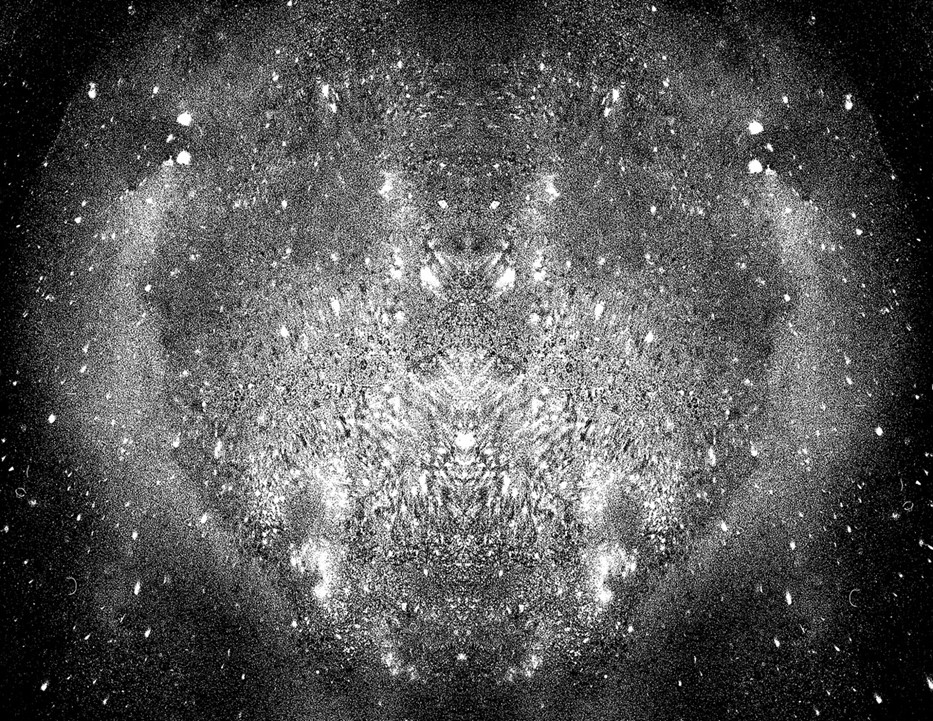 Photo: Daniel Tchetchik