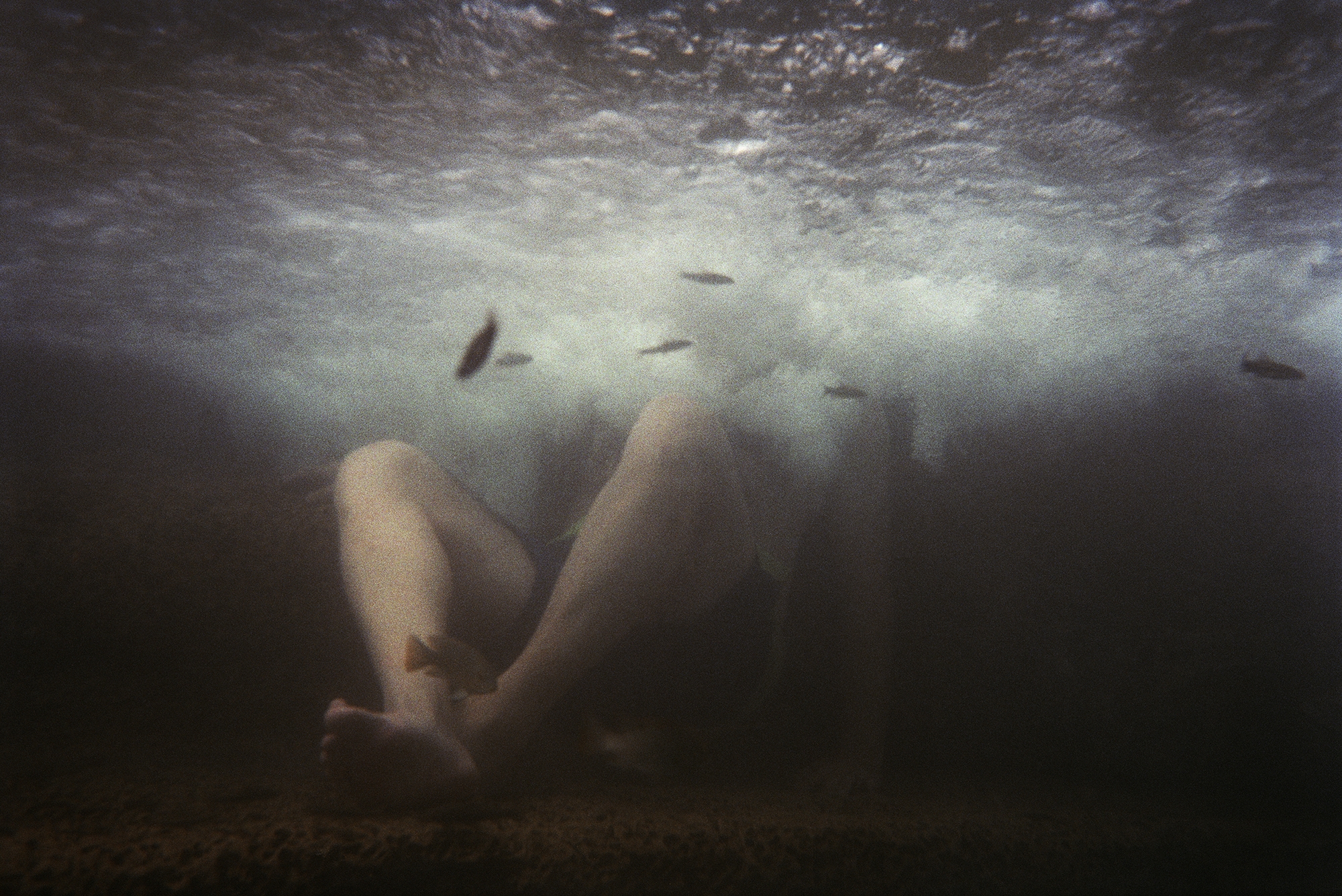 Photo: Daniel Tchetchik