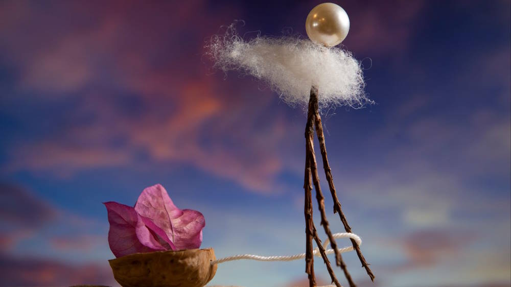 צילום: איריס דומאני