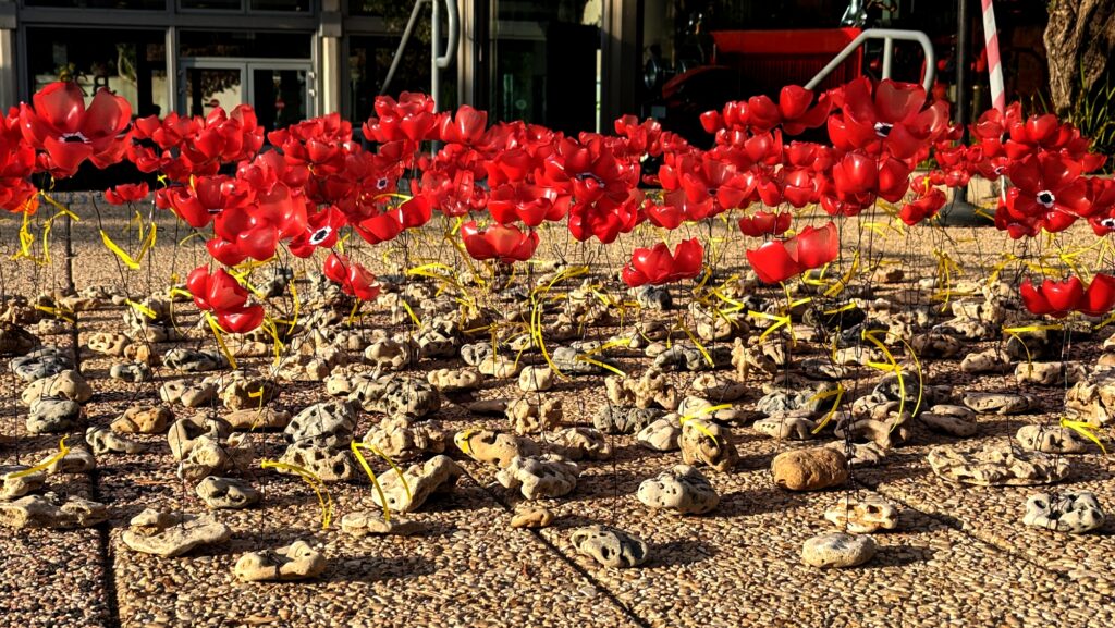 דרום אדום, 2023, ורד זיידמן חכים 