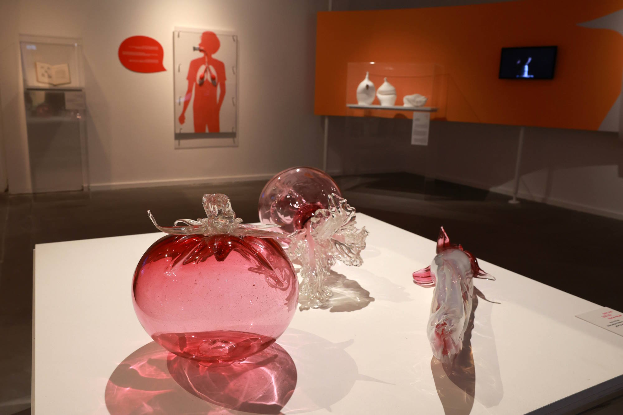 פוווווווווּ - כוח הנשיפה. מבט לחלל התערוכה. צילום: דנה קופל