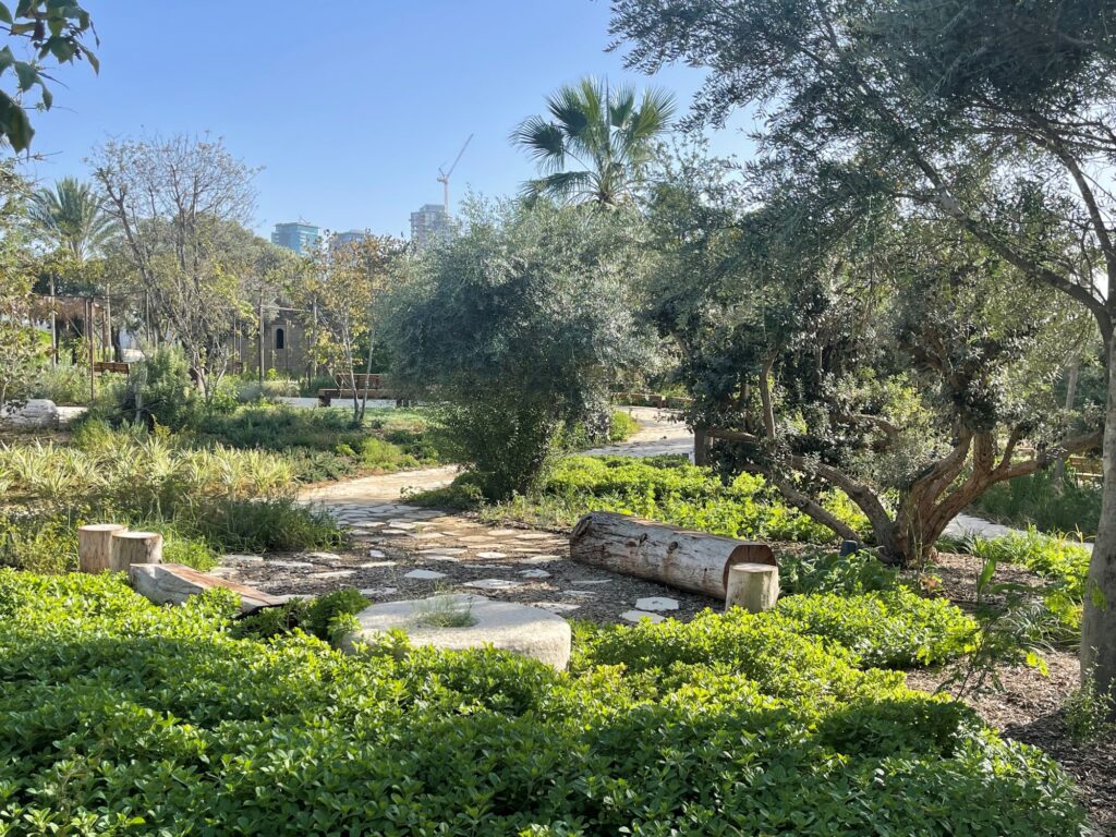 בוסתן מוזא, צילום: סטודיו אורבנוף