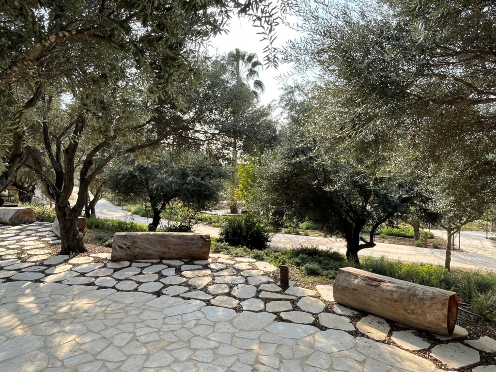 בוסתן מוזא, צילום: סטודיו אורבנוף