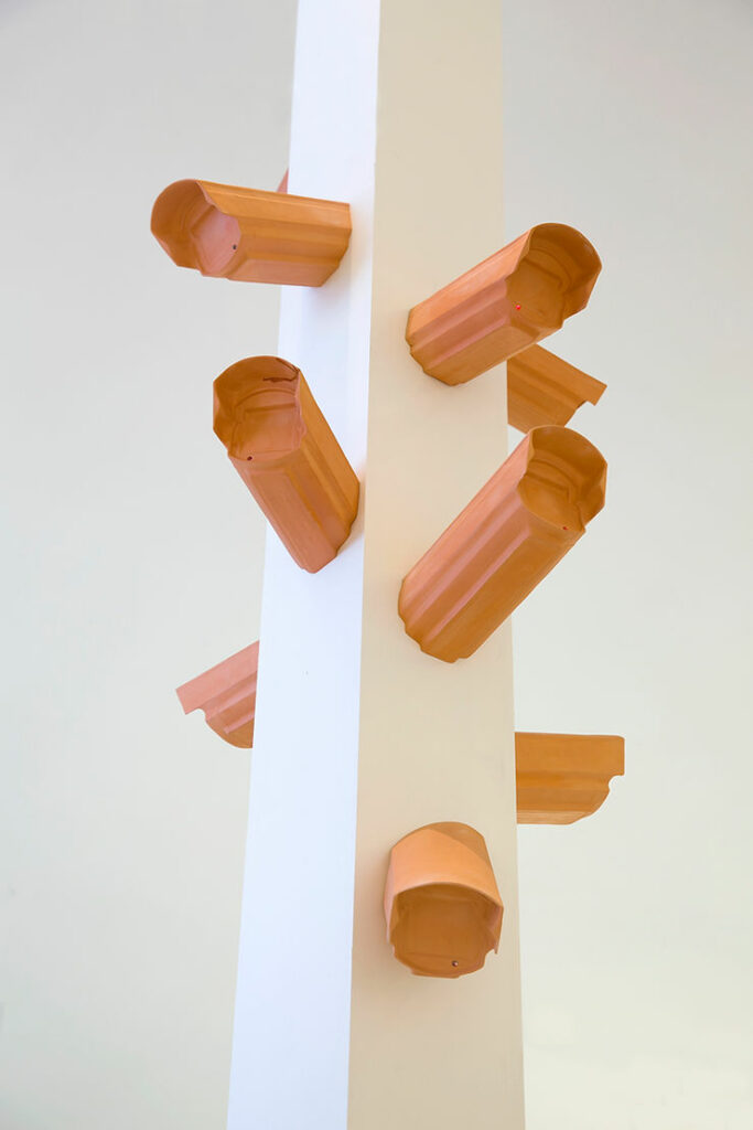 Say Cheese!, 2019, Oz Biri