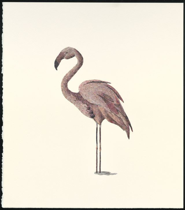 Flamingo, 2016, Yuval Atzili