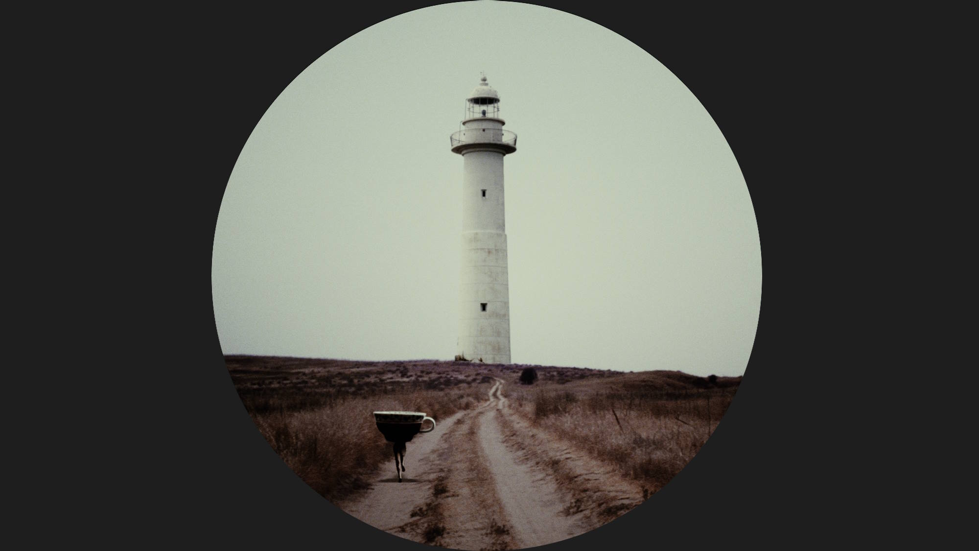 היראקי סאווה, Absent (2018)