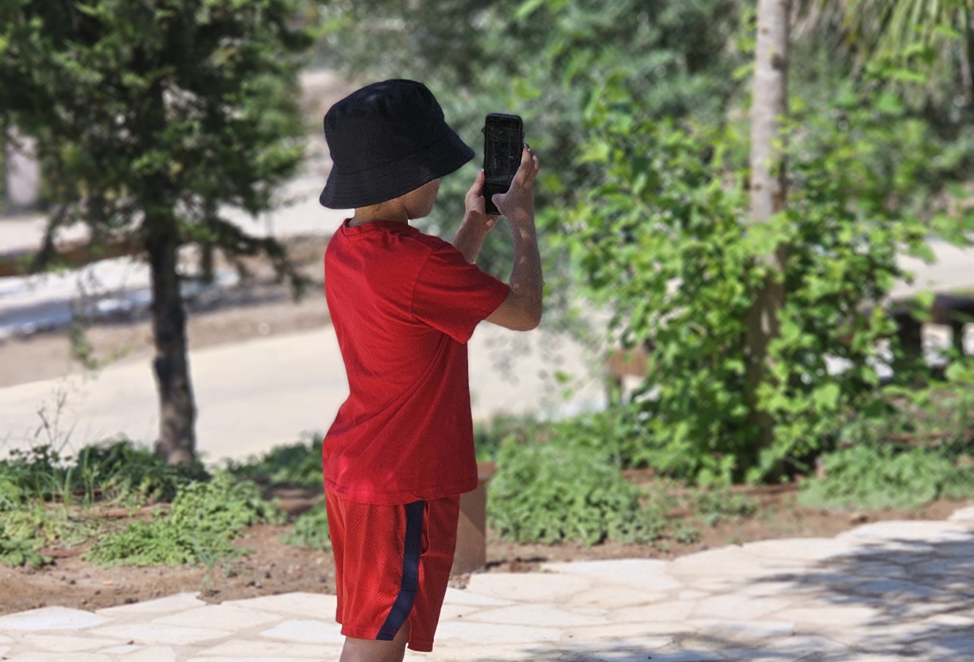 צילום: טל איז'ק