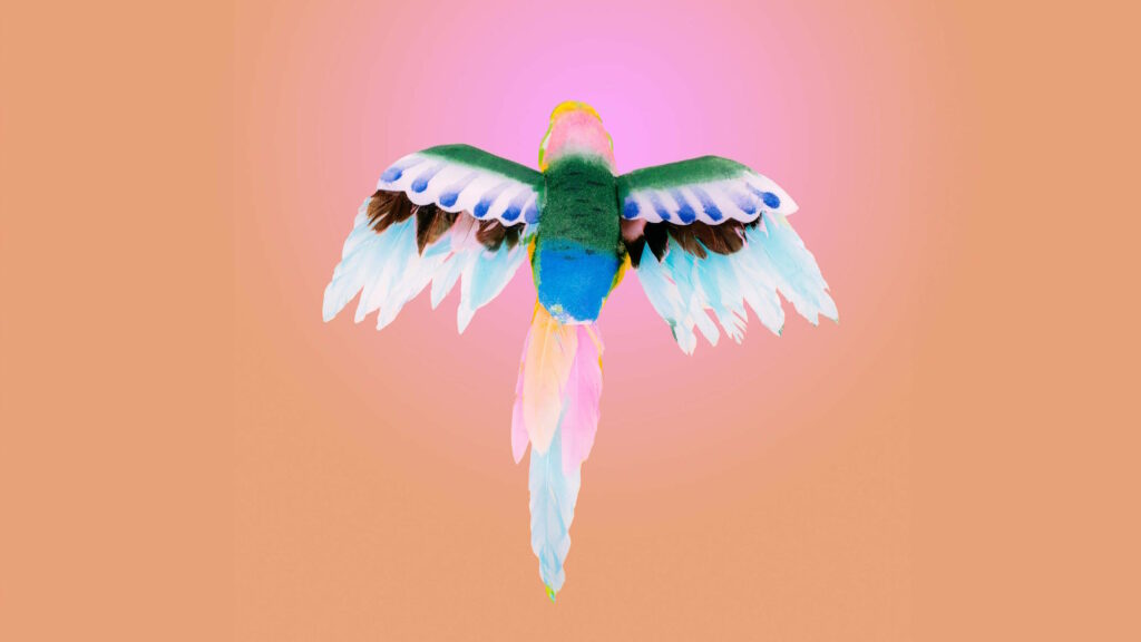 סשה טמרין, אל השמש, 2014