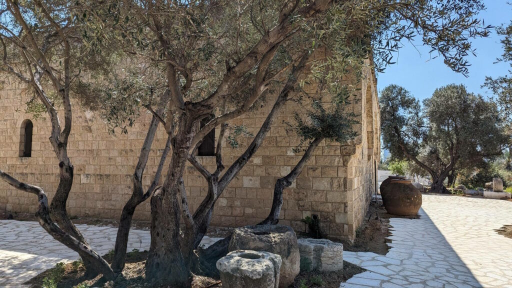 בית הבד במוז"א