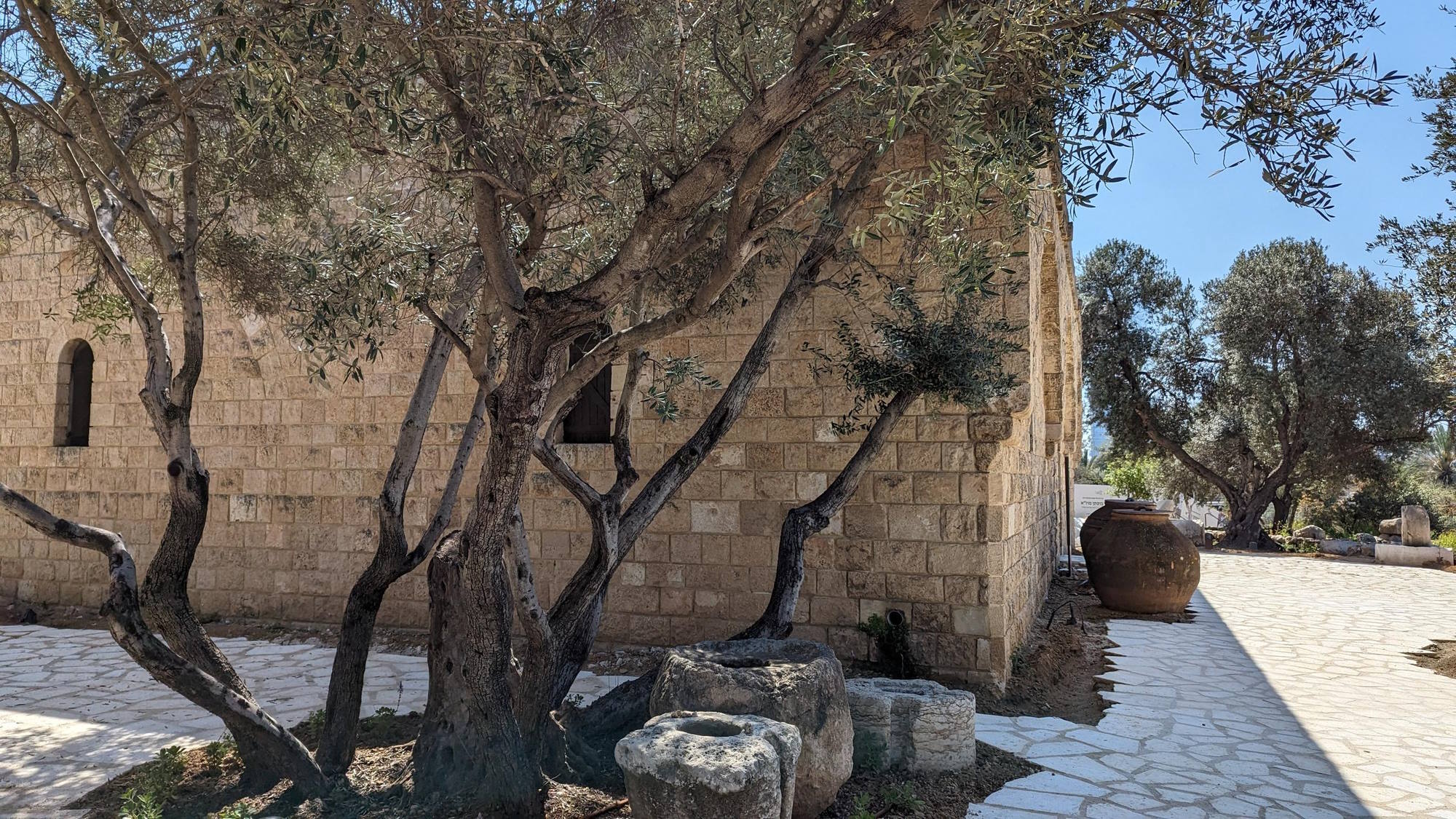  חצר בית הבד במוז"א