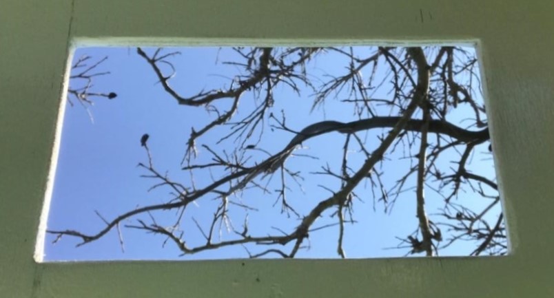 צילום: תמר אור