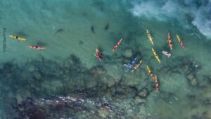 Local Nature, World Nature 2018