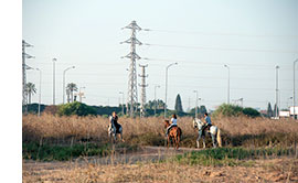 צילום: אילנה בינג