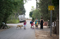 צילום: אילנה בינג