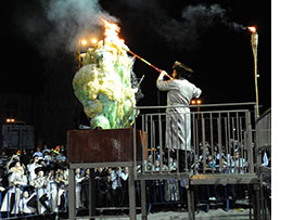 צילום: דנצ'ו ארנון