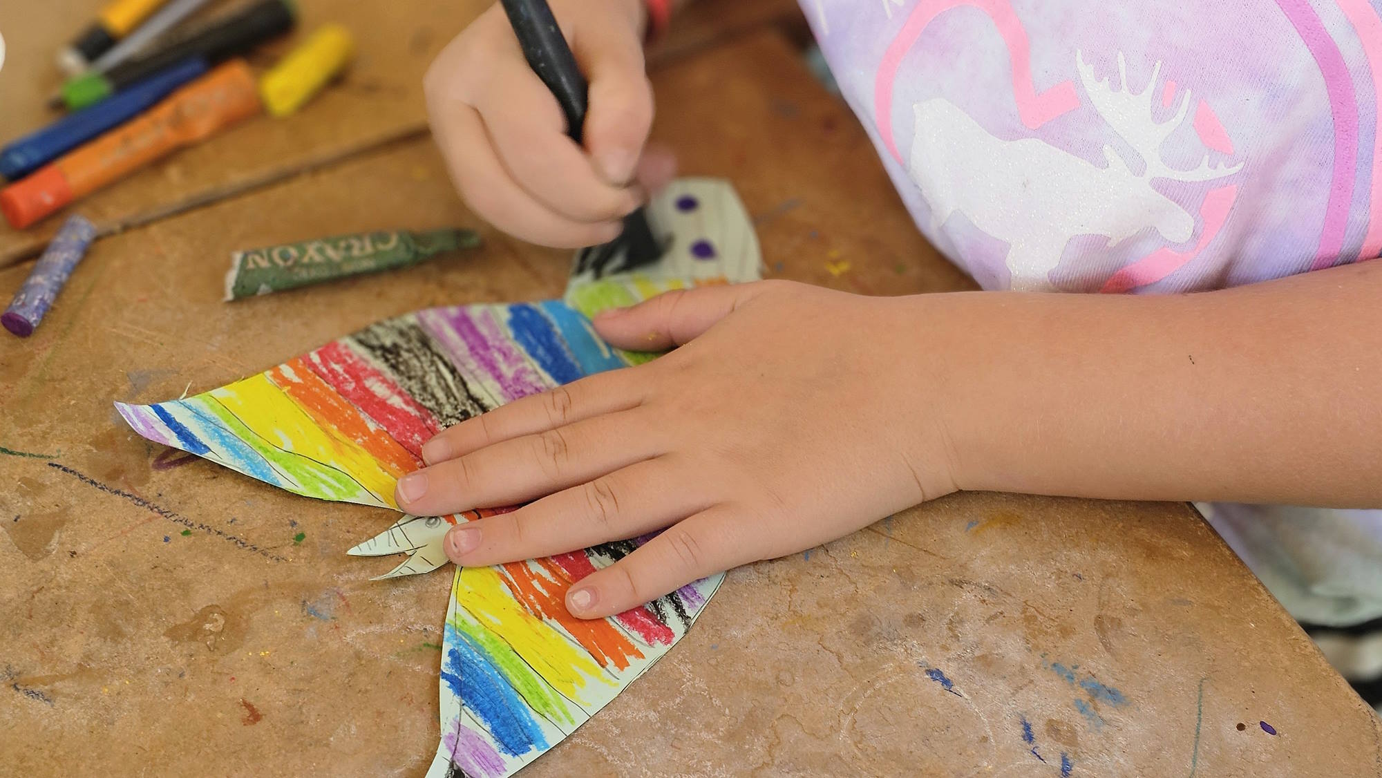 צילום: טל איז'ק