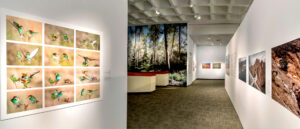 Local Nature, World Nature 2016