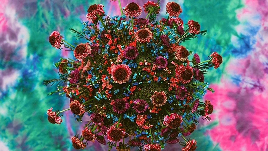 מיכאל ליאני, חדשות מרעישות. וידאו ערוץ אחד ללא סאונד בלופ