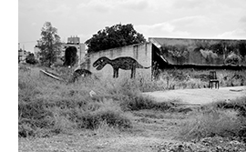 צילום: כרמלה קיט 