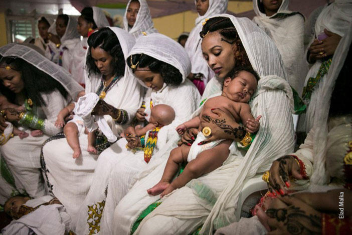 צילום: אלעד מלכה