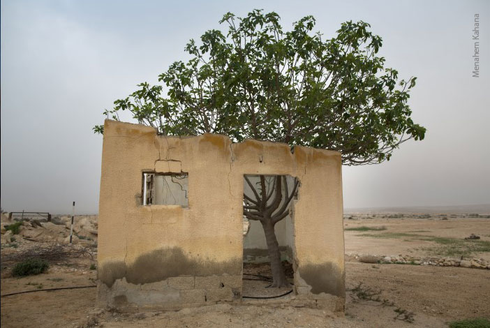 צילום: מנחם כהנא