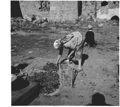 צילום: עמוס ישכיל