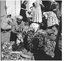 צילום: עמוס ישכיל