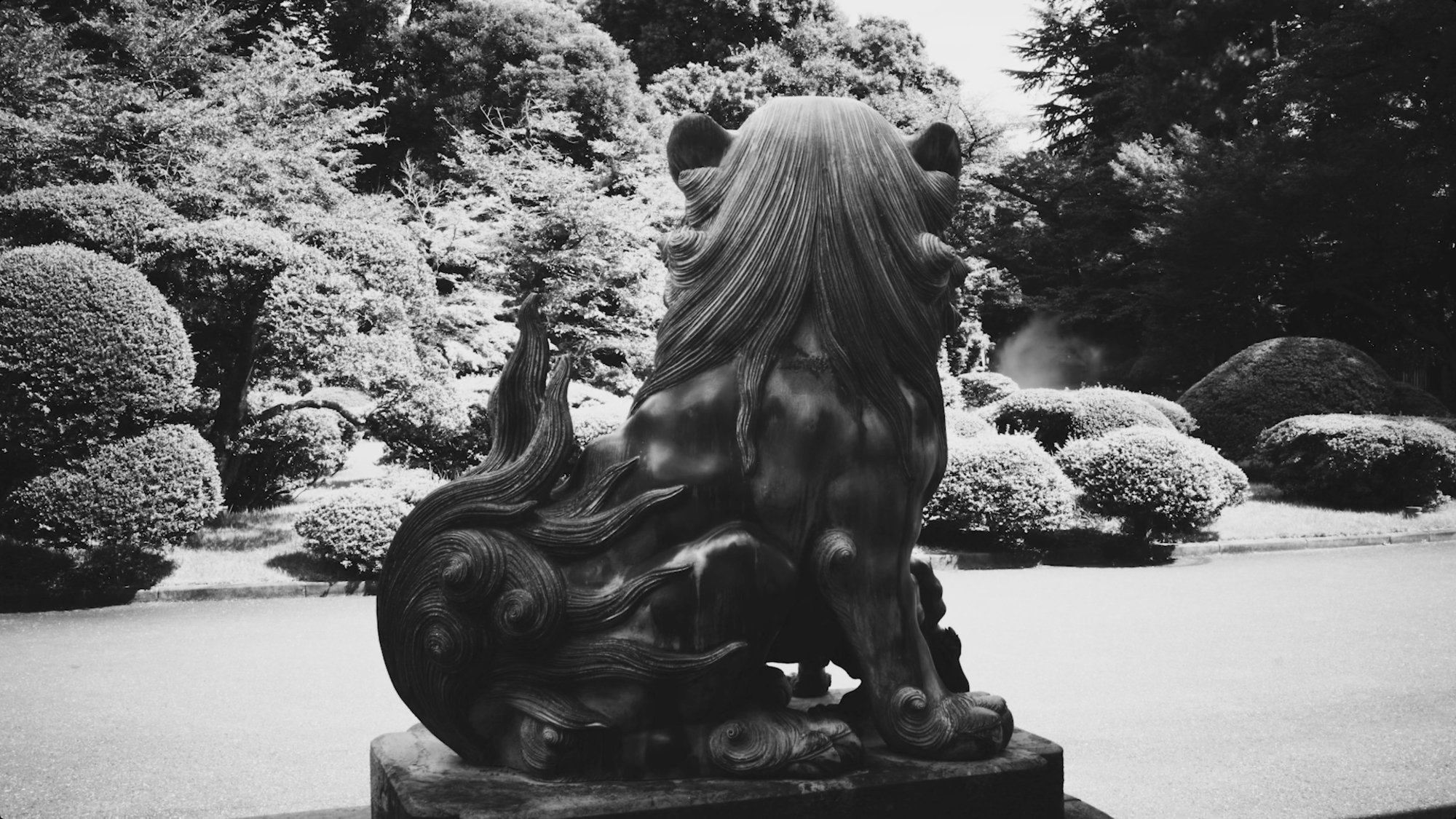 היראקי סאווה, Pilgrim (2022)