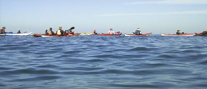 Photo: Shmulik Livyatan