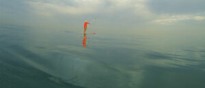 The Tzuk Beach – Meetings in the Sea