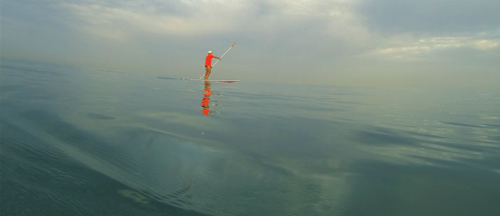 Photo: Shmulik Livyatan