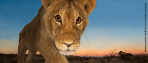 Local Nature, World Nature 2014