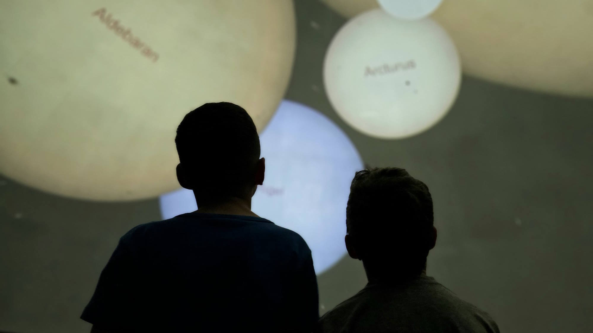 צילום: טל איז'ק