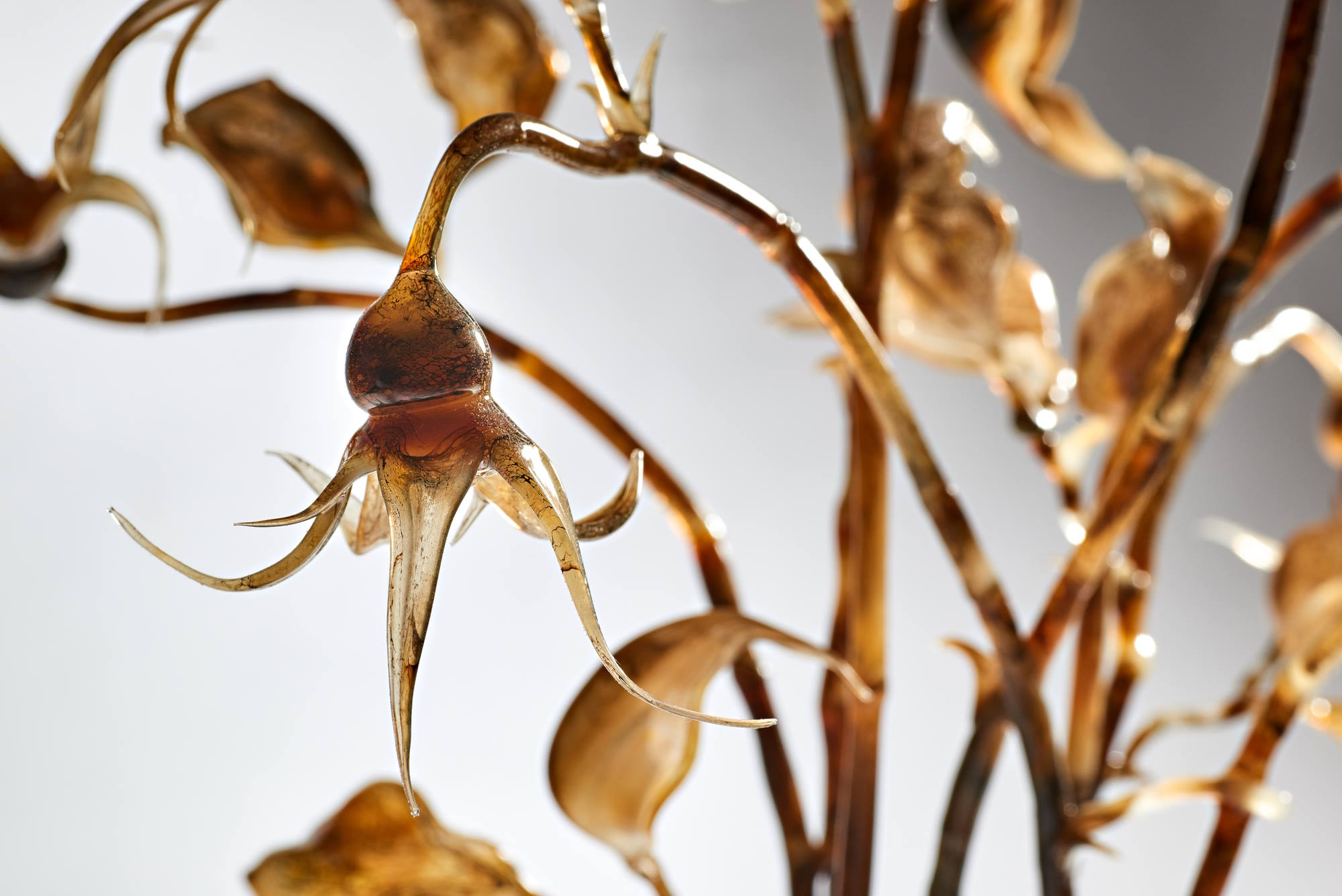 ליאור וג'ימה, Flora Islamica, 2016. זכוכית; עבודת מבער. צילום: לאוניד פדרול