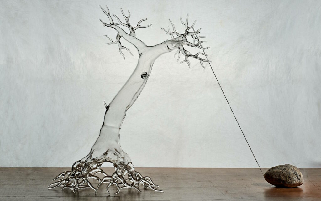 סימונה קרסטני (איטליה), "אל תוותר" מתוך הסדרה "מושרש בארצי", 2015. צילום: מידד סוחובולסקי