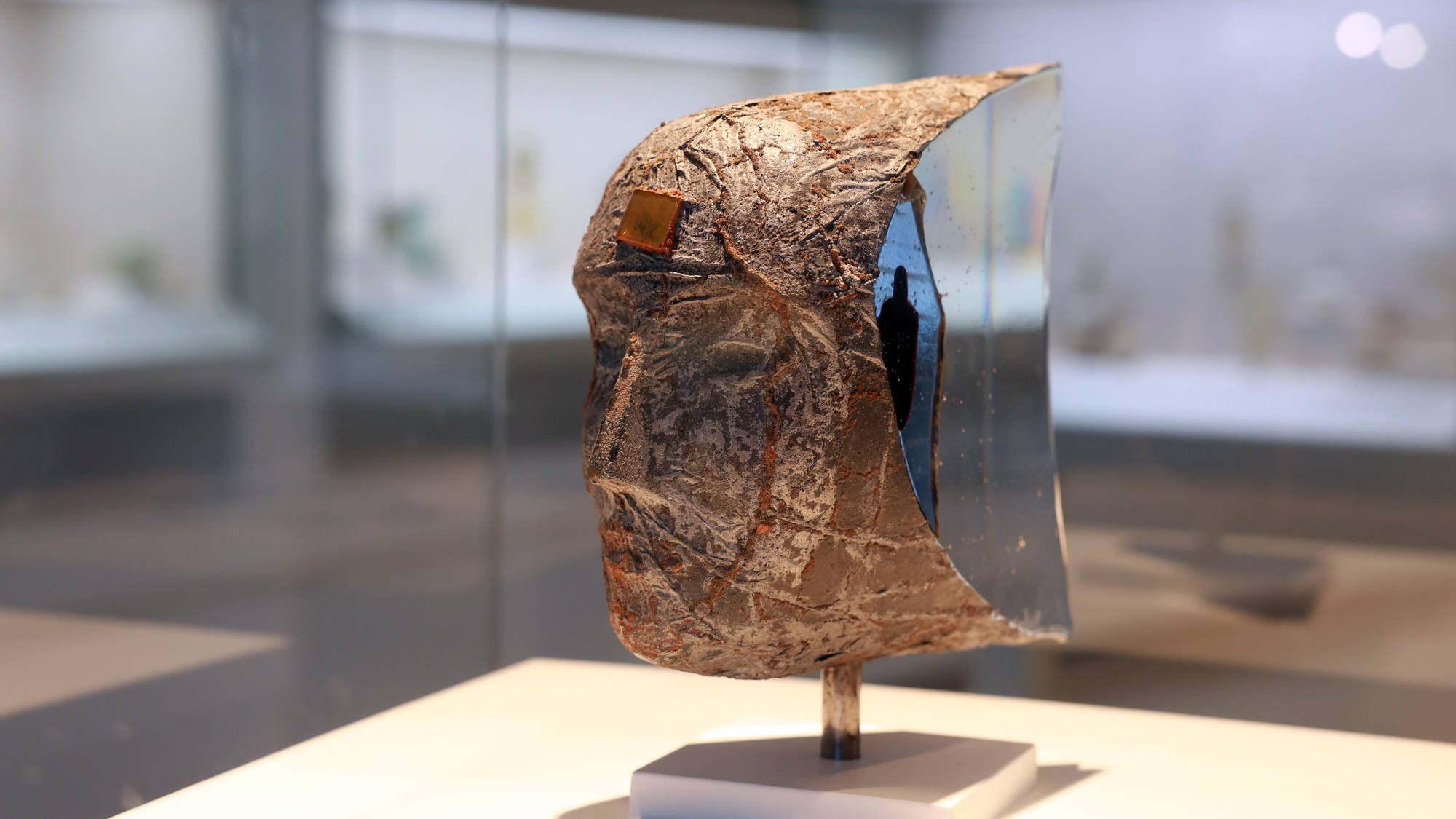 ברטיל ואליאן, מתוך הסדרה "מוחות", 2000. אוסף ביתן הזכוכית, מתנת האמן. מראה הצבה בתערוכה. צילום: דנה קופל