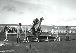 צילום: צבי אורושקס