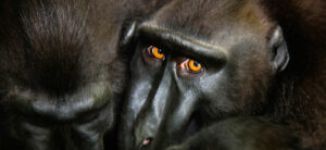 Local Nature, World Nature 2013